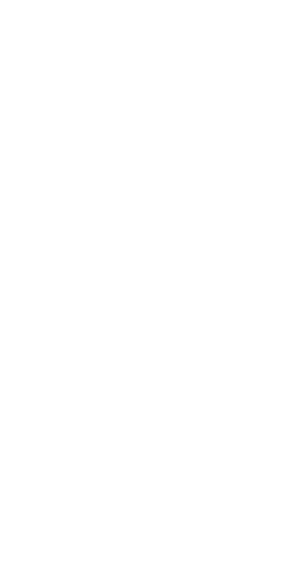 Art Flight Instruments